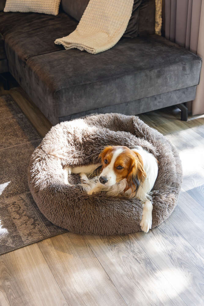 beeztees Hundebett Yala